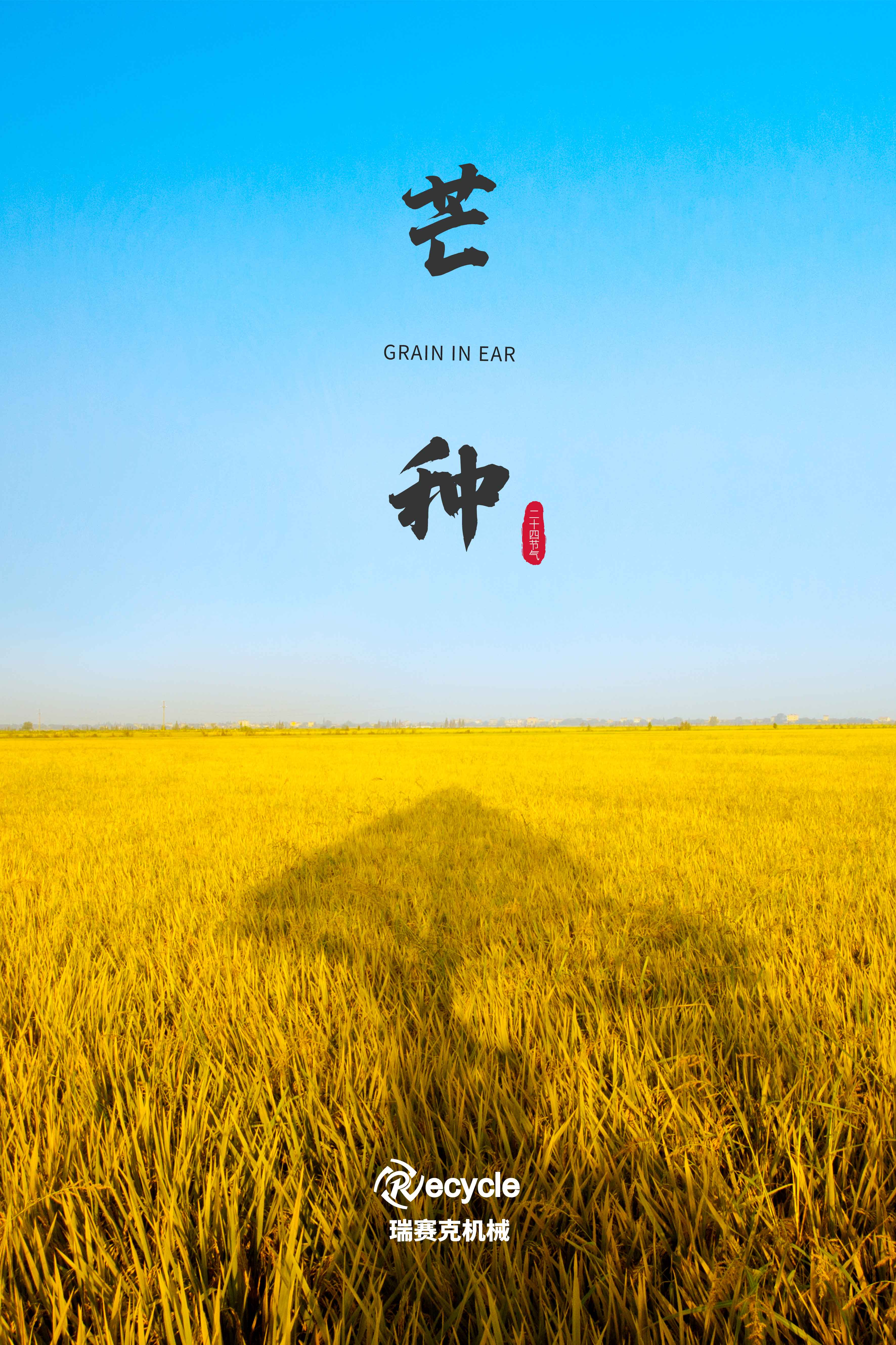 芒种